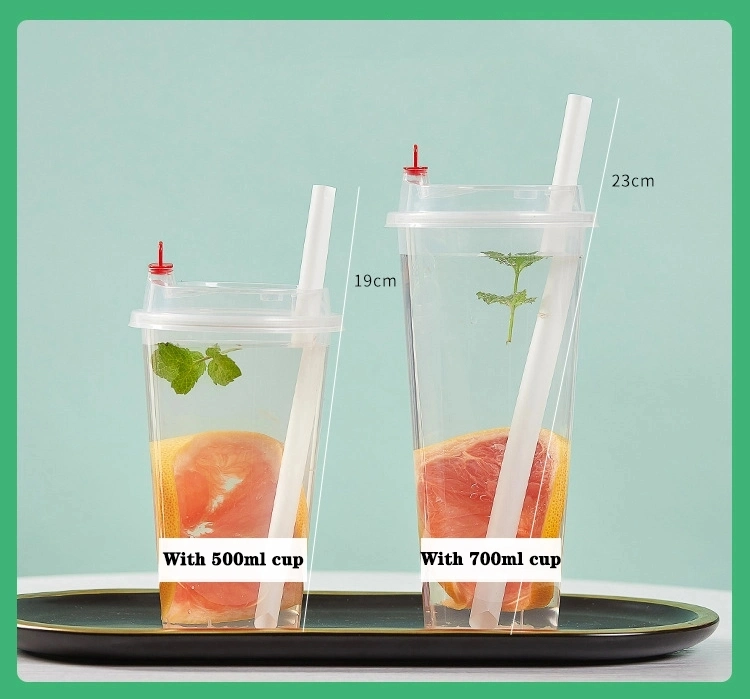 Eco Friendly Biodegradable Compostable PLA Straw