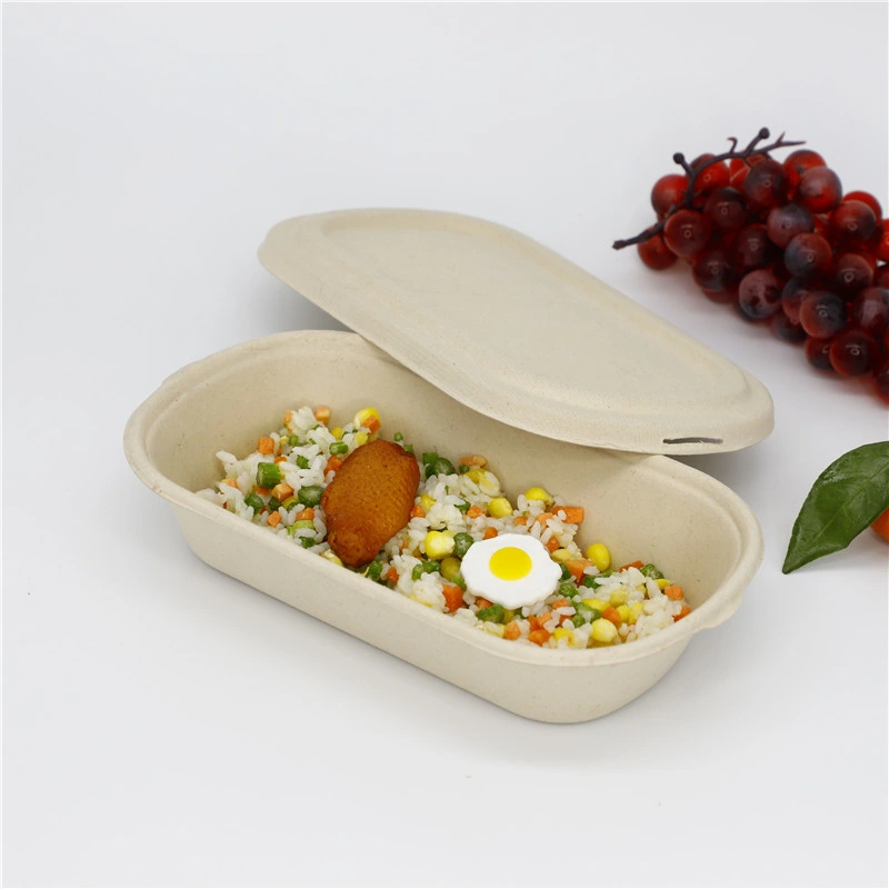 Biodegradable Food Packaging Container Sugarcane Container