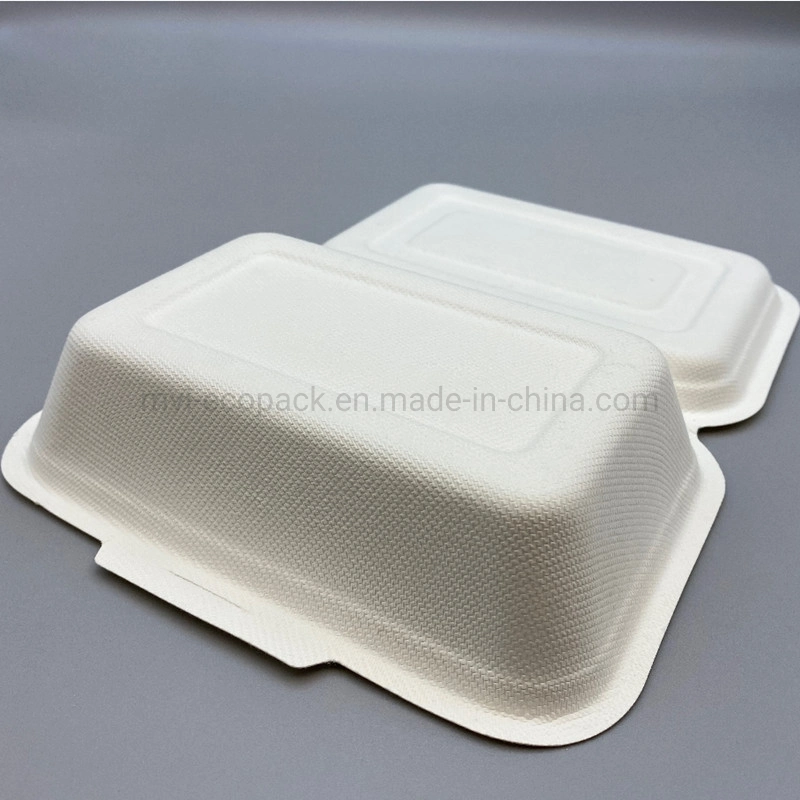 600ml Food Box Compostable Bagasse Locked Clamshell Food Box Biodegradable Tableware Takeaway Food Container