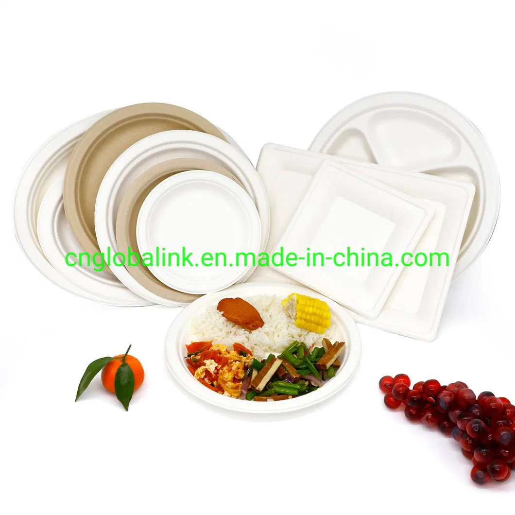 Biodegradable Food Packaging Container Sugarcane Container