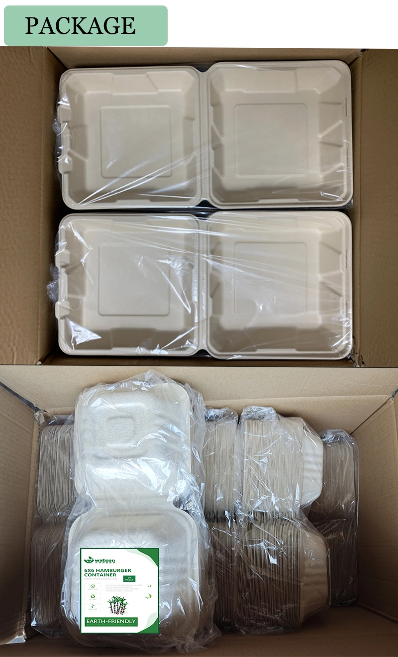 Ecofriendly 6X6inch Burger Sugarcane Bagasse Disposable Biodegradable Envases CT5 Takeaway Food Container