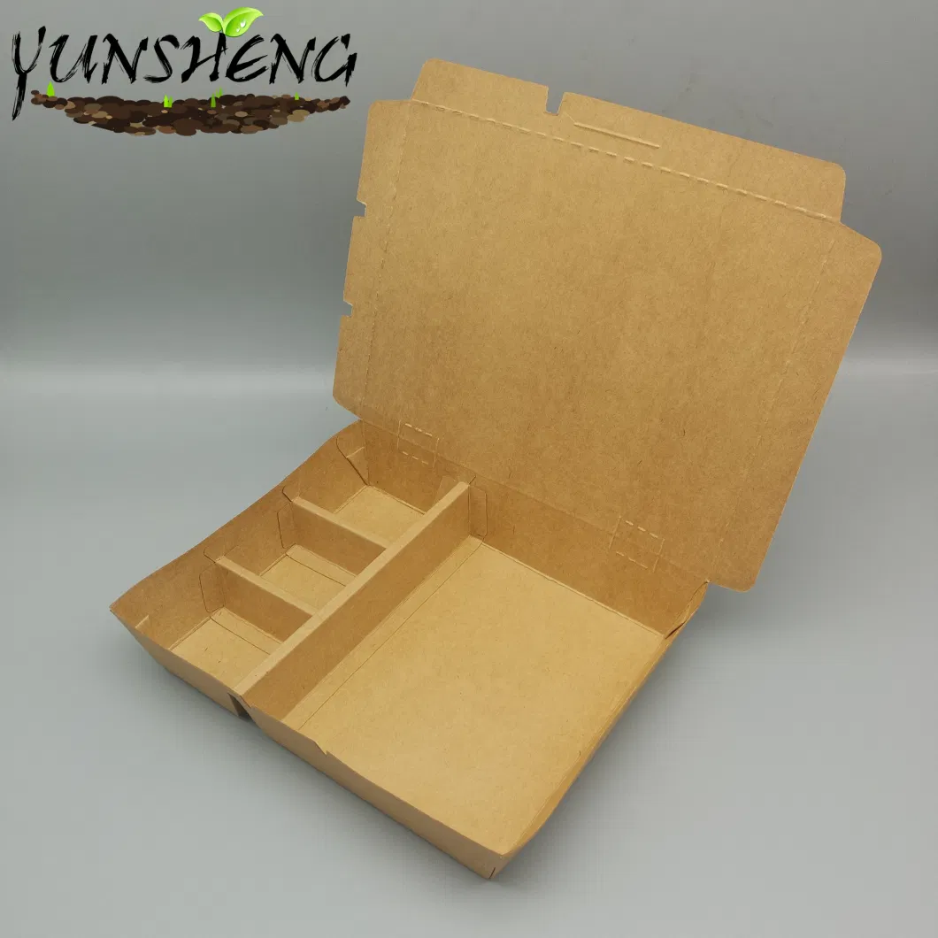 Biodegradable Food Container with Dividers and Lid Wholesale